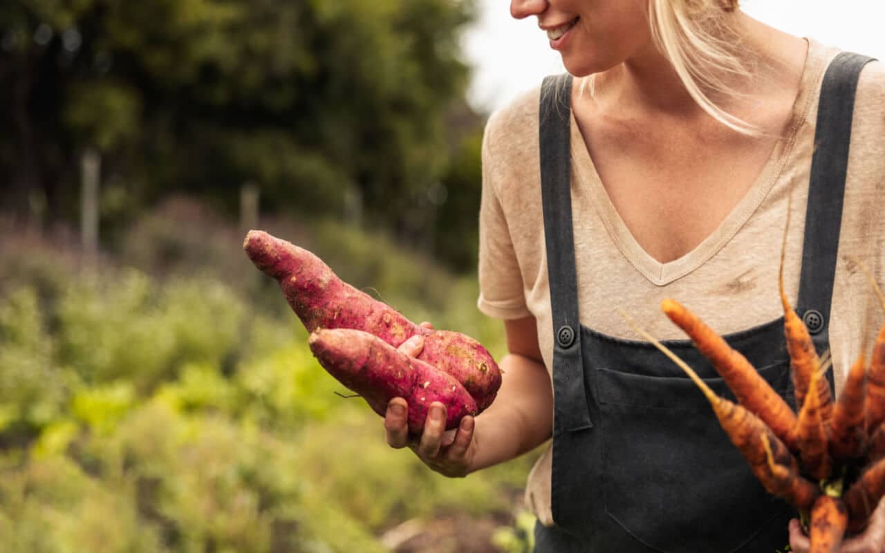 1 Cup Sweet Potato Calories